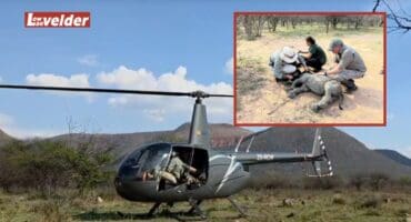 A helicopter. Wildlife veterinarians treat the rhino calf. > Photos: Supplied/WeWild Africa