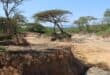 A wetland where sand mining has been curbed.