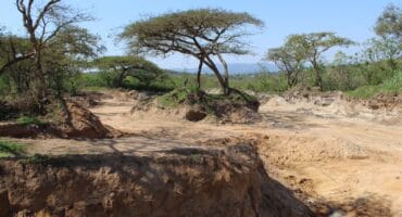 A wetland where sand mining has been curbed.