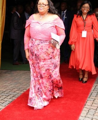 MEC Dumisile Nhlengethwa and MEC Norah Mahlangu-Mabena.