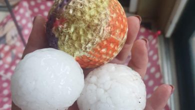 hael-6