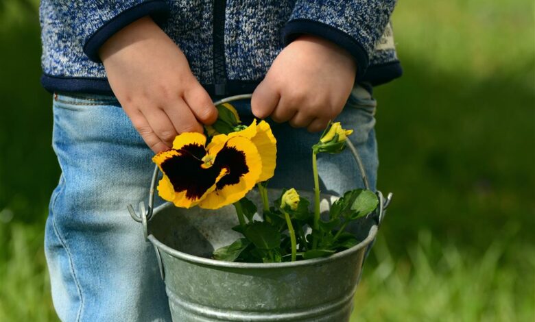 AliceCoetzee - 11-03-2022-gardening -get ready for autumn; photo 1 (Medium)