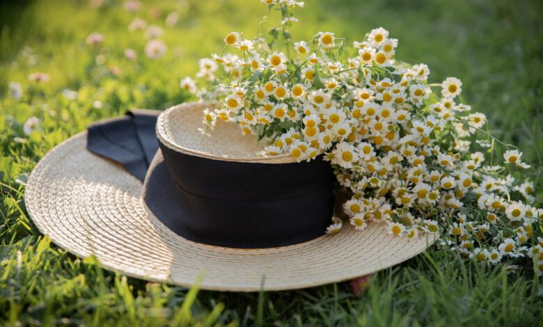 Alice Coetzee- 09-09-2022-gardening- lawn care- photo 1