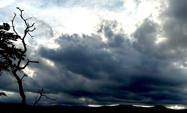 SAWS issued yellow 2 warnings for thunderstorms and fire danger in multiple provinces.