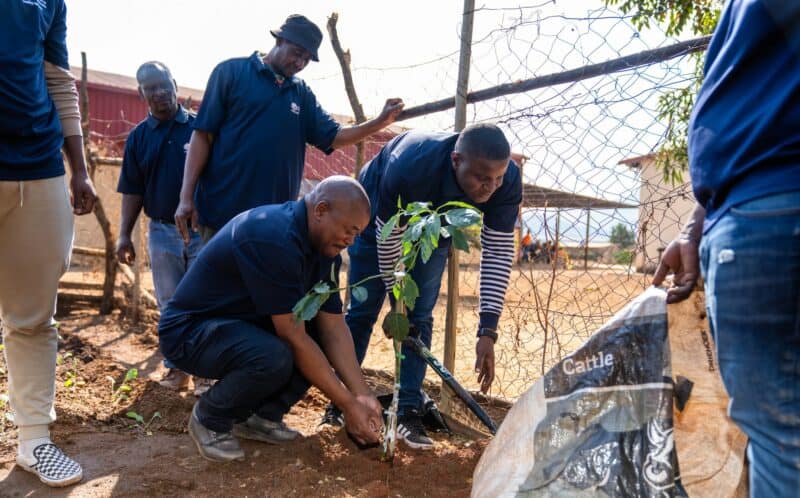 The UMP plants a food garden and fruit trees.