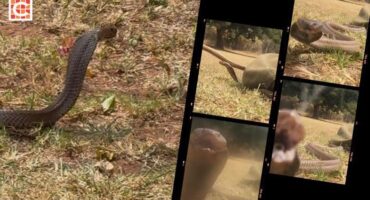 Nev_Lifestyle feature images - 8