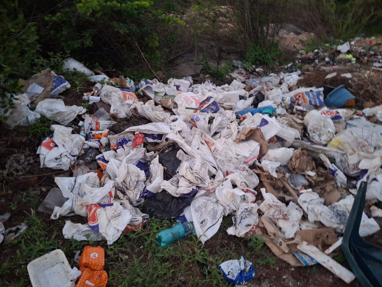Some of the garbage that was dumped by local businesses.