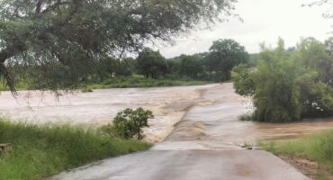 Sand River bridge in flood. > Photo: Supplied/SANParks