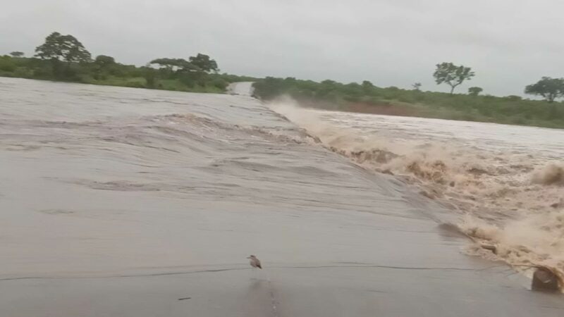 The H10 low-water bridge in Lower Sabie is overflowing. > Photo: Supplied/SANParks