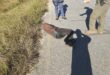 The man who was rescued by the Police Search and Rescue Unit in Pienaar. > Photo: Supplied/SAPS