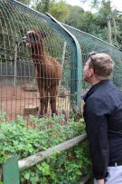 zoo