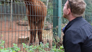 zoo