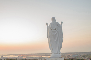 HFC Resized 1 HFC Resized 1