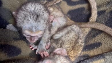 264352353_4723213701032275_1524774989198586976_n