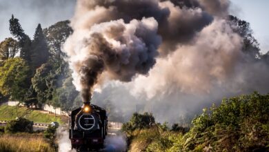 IMG_9217-2_1000Hills - Copy