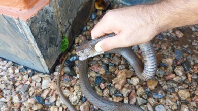 273619951_3055591978089526_8172489216148476534_n