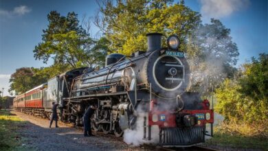 31stinchanga(3)_57824