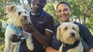 13sttrail(1)_86193_tn