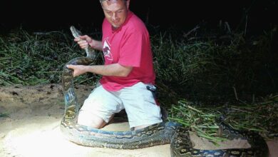 278473363_3277500139144855_8997933934506699706_n