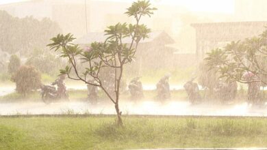 downpour-1856418__480