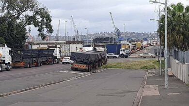 FB_IMG_1650024756571