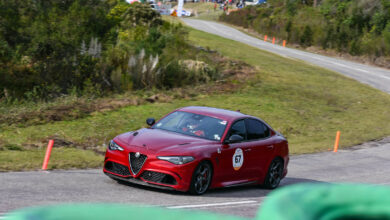 Piet Potgieter - Alfa Romeo Giulia QV - photo Rob Till