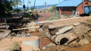 17shumdloti7-Copy-780x470