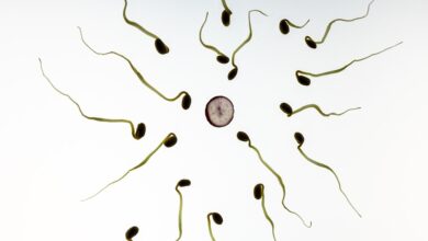 sperm-956480_960_720