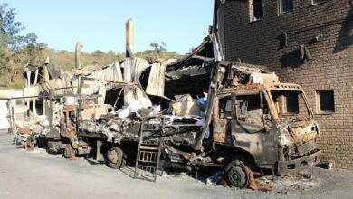 31shbriardene3 (Large)