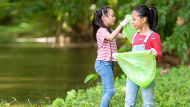 Ways to celebrate World Environment Day