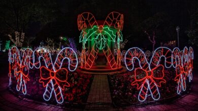 banner_candycanesedited_20220920_105333