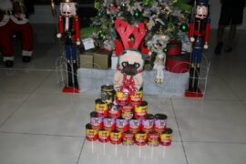 IMG_6929 (Copy)