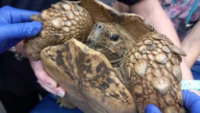 322508801_557988512648550_6279474793926851787_n