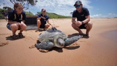 327803249_1505666516588160_6107673883807783296_n