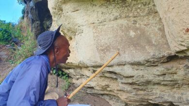 WhatsApp Image 2023-03-03 at 13.09.52