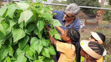 e2df2ee9-ea47-42c5-832d-71bff6f25d48