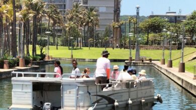 351874838_287085390331067_3015623058124440154_n