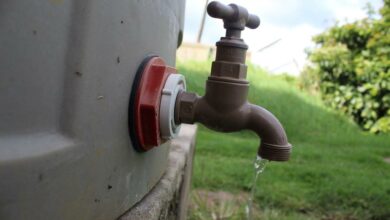 310020be-9b5c-45d5-83ea-9171ce767b83