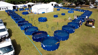 347414254_789032059676188_3155791350336174123_n