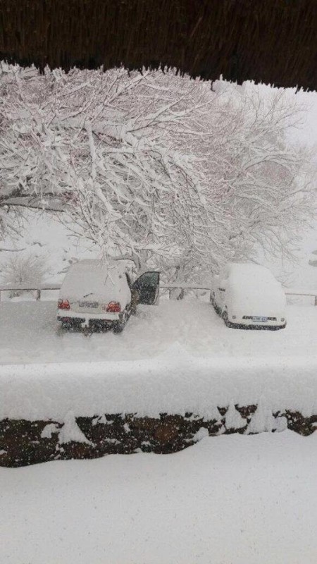 Gauteng is set to experience icy weather next week, with temperatures dropping sharply and even the possibility of snowfall disrupting travel.