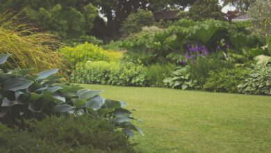 garden