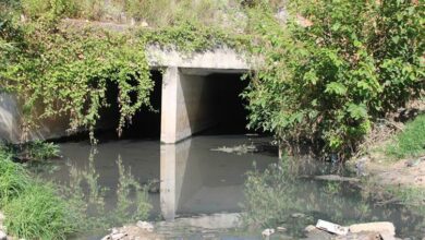 Dirty stationery water in the river