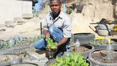 Thuthukani 'Makhaya' Khumalo encourages locals to use small spaces in their backyards to plant vegetables.