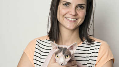 Dr Debby Bain holds a kitten. Photo: Supplied