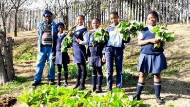 MC Weiler Primary School learners and their garden master show off some of their vegetable crops.