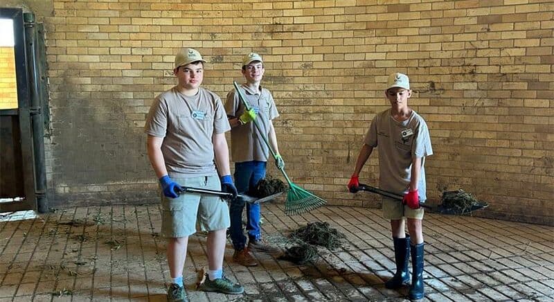 From animal tracking to hands-on conservation, the Junior Honorary Rangers programme is giving young South Africans the chance to make a difference.
