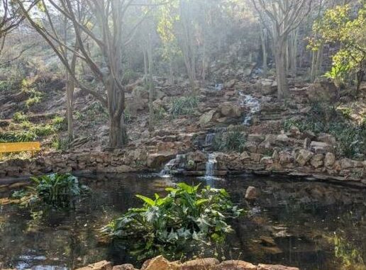 Beyond the city’s busy streets, a world of wildlife and natural beauty quietly flourishes.