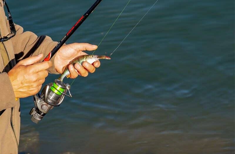 Here is a list of places you can go to enjoy a day of fishing in the city.