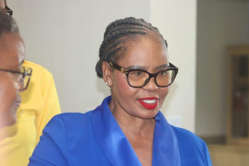 Gauteng Health and Wellness MEC Nomantu Nkomo-Ralehoko says the new desk will ensure patients’ concerns translate into action.
