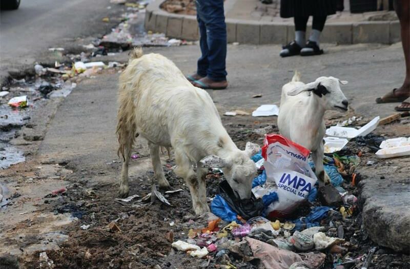 Despite clean-up drives and enforcement blitzes, Alexandra’s 2nd Street remains waterlogged and in a state of decay.